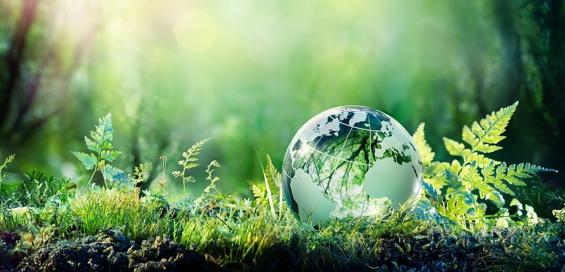 Conférence le jardin sauvage ,la biodiversité