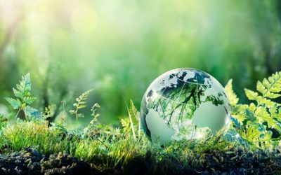 Conférence le jardin sauvage ,la biodiversité